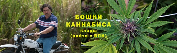прущий лед Аркадак
