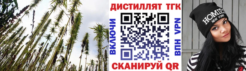 где найти Себеж ТГК вейп с тгк